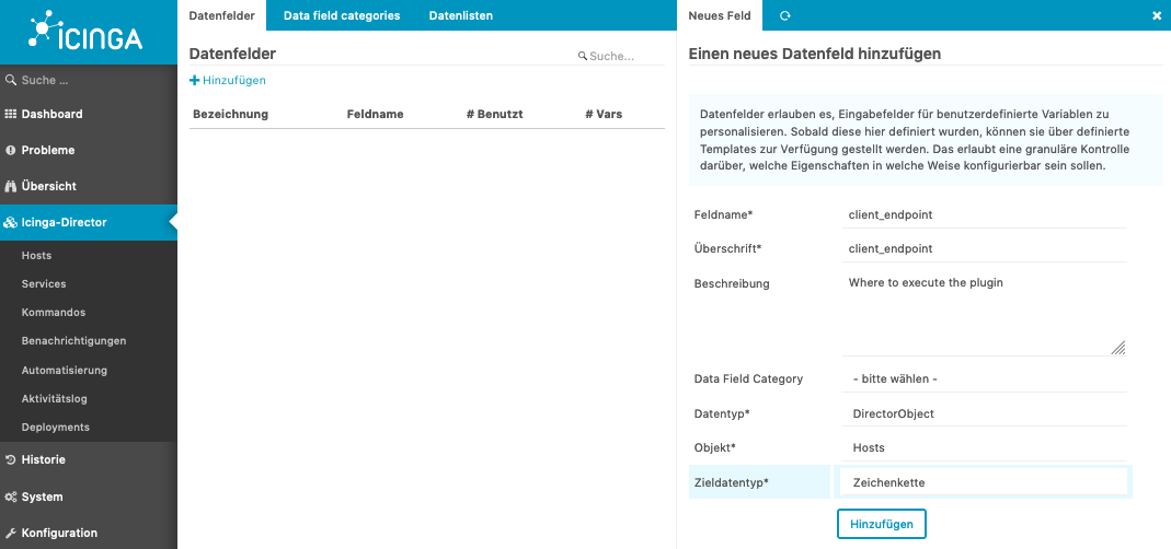 Director Datenfeld client_endpoint